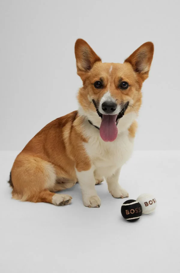 HUGO BOSS Boldsæt Til Hunde Sort Flash Sale