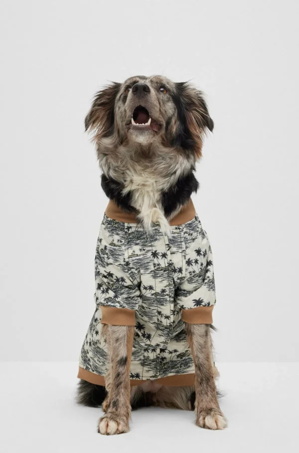 HUGO BOSS Bomberjakke Til Hunde Lys beige Hot