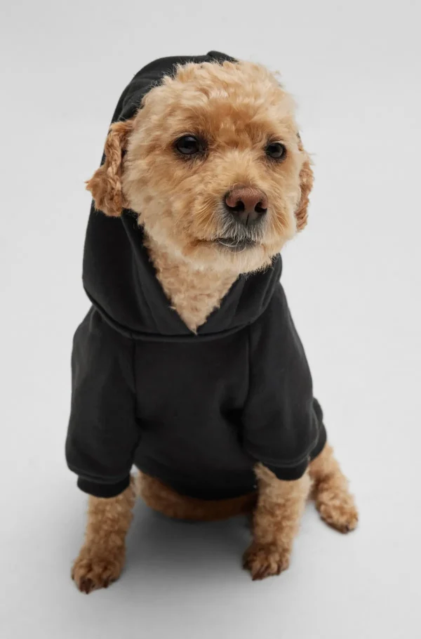 HUGO BOSS Hættetrøje Til Hund Med Ikonisk Stribelogo Sort Best