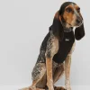 HUGO BOSS Hundesele I Netstof Med Ikonisk Stribe Sort Shop
