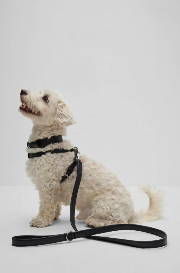 HUGO BOSS Hundesnor I Genbrugt Læder Sort Shop