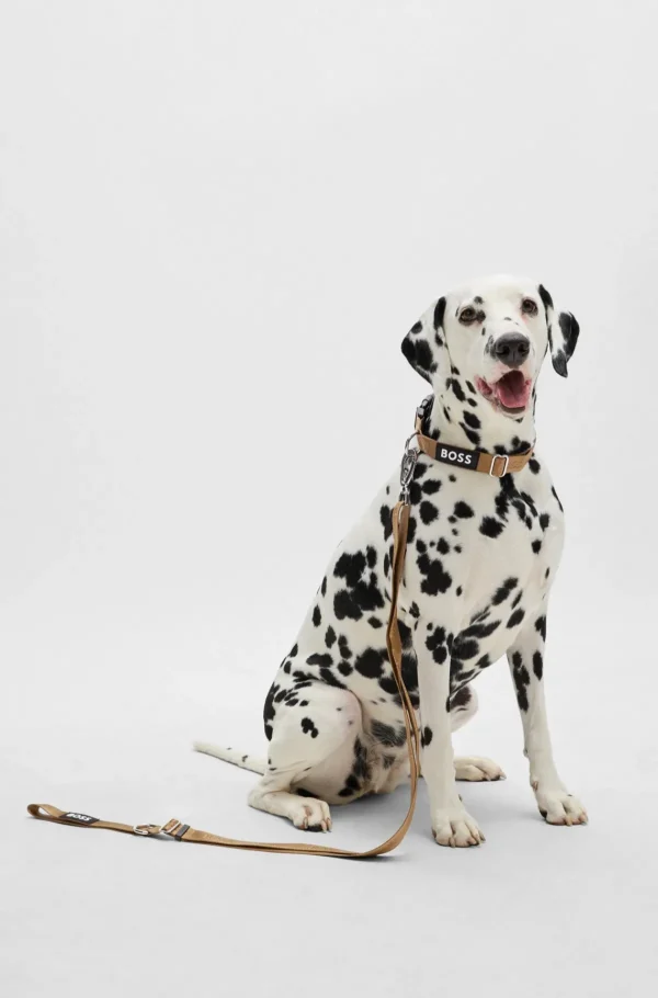 HUGO BOSS Hundesnor Pyntet Med Jacquard-logo Beige New