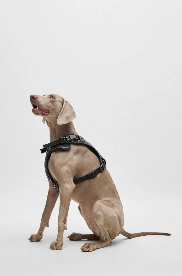 HUGO BOSS Sele Til Hund Med Monogrammønster Og Meshfor Sort Fashion