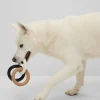 HUGO BOSS Trækkelegetøj Til Hunde I Signaturfarver Sort Sale